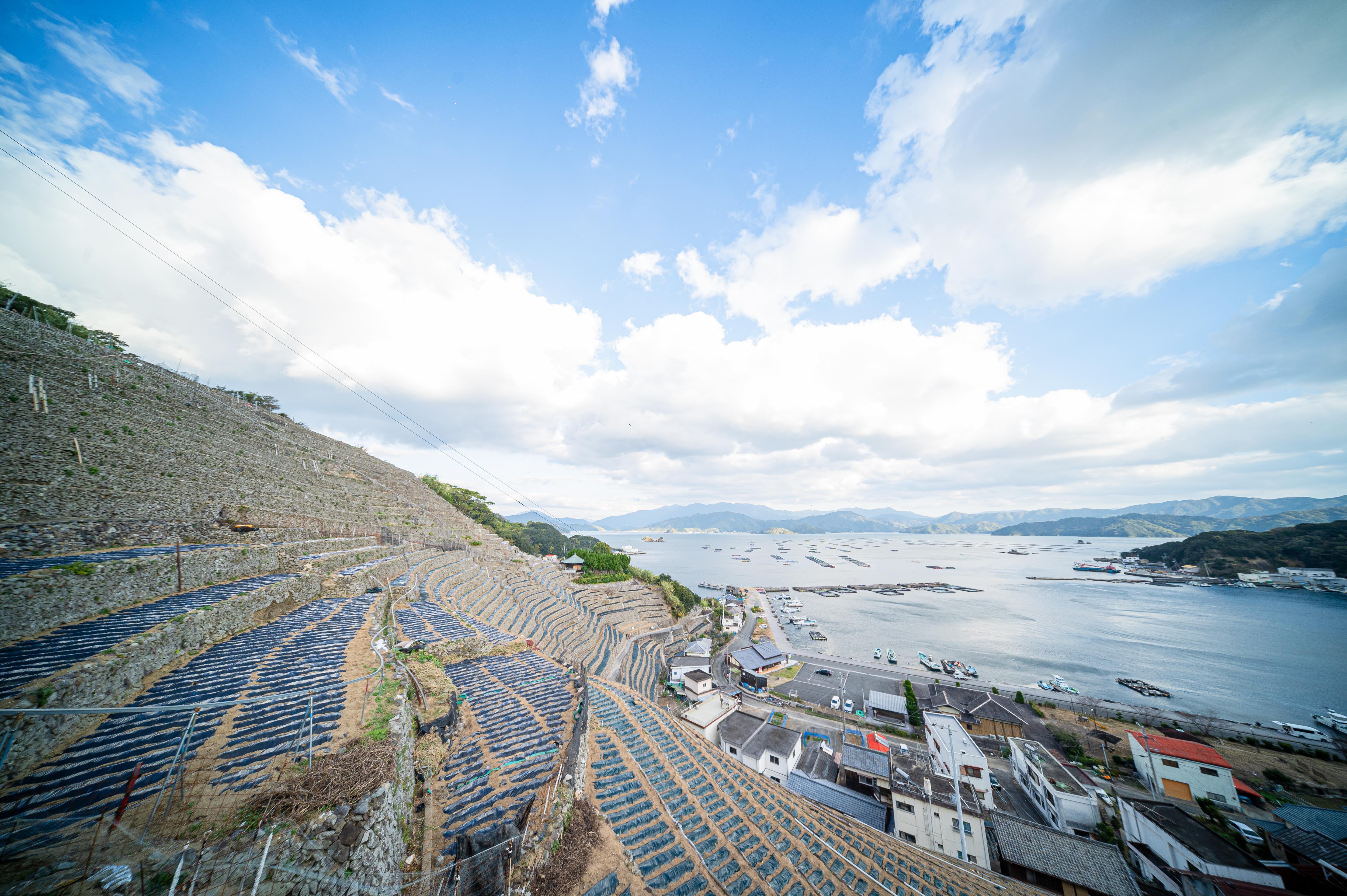 宇和島三浦半島 丸ごと体験コース えひめグリーン・ツーリズム