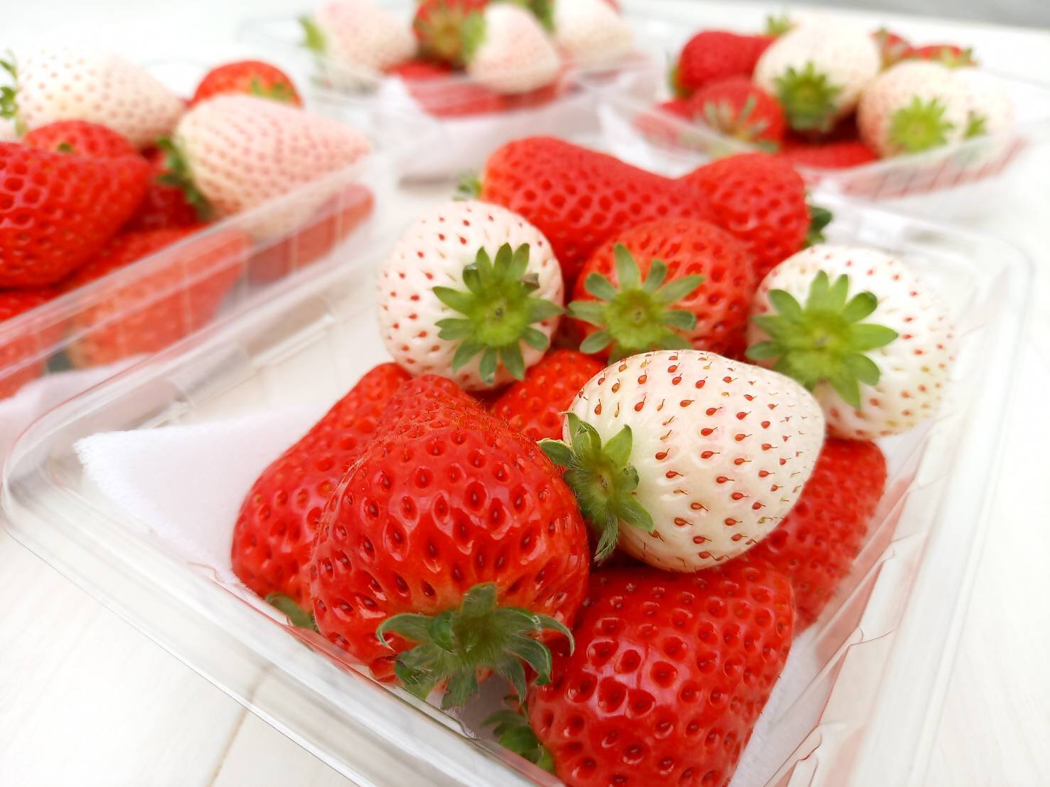 イチゴ狩り（道の駅なかやま）いちご狩り観光農園ビューファーム3号棟